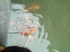 android_upload_pic-东湖公园