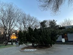 -玲珑塔公园