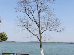 -东湖生态旅游风景区