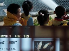 -宁波市保国寺古建筑博物馆