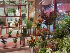 -二酉书店TOYOU BOOKS