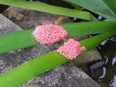 -龙头寺公园