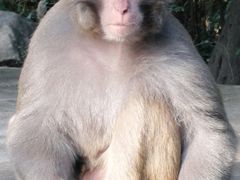 -贵阳龙洞堡国际机场-T2航站楼