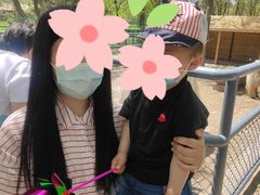 景点-长白岛森林公园