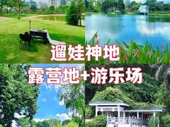 -香蜜公园