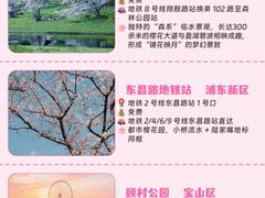 -上海山野camping·户外天幕烧烤·团建拓展营地