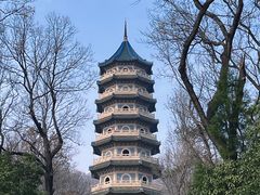 -灵谷景区