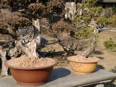 景点-焦山风景区