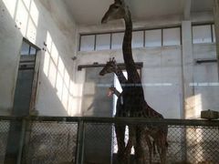 -石家庄市动物园