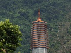 -深圳仙湖植物园
