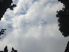 -光裕书厅·评弹茶馆·剧场(观前街店)