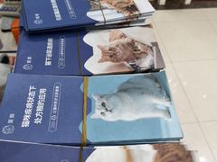 -瑞鹏宠物医院·夜间急症·心超·猫科(祖庙分店)