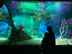 -沈阳海洋探索中心