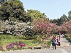 -南山植物园