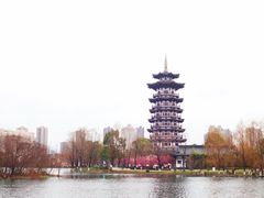 -洋湖国家湿地公园