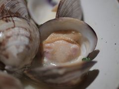 酒煮蛤蜊-Night Breeze晚风