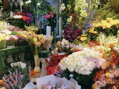-朝来春花卉市场