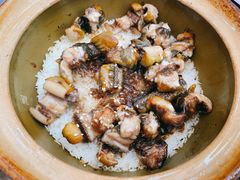 -红星光发煲仔饭(文海店)