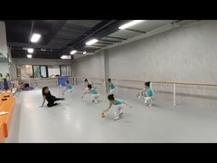 -舞蕾舞蹈(特长生校区)