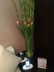 -丽妍雅集 Rubis SPA