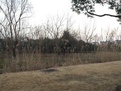 iphone_upload_pic-东华大学(松江校区)