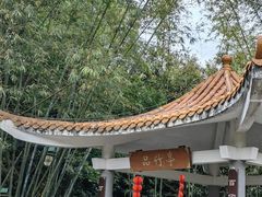-大屏嶂森林公园