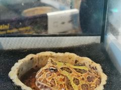 -昆明大悦城未来动物城(螺蛳湾中心店)