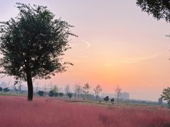 -汉长安城未央宫国家考古遗址公园