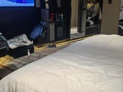 -新加坡瑞士史丹福酒店