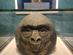 -国家自然博物馆