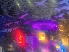 -烟台海昌鲸鲨海洋公园