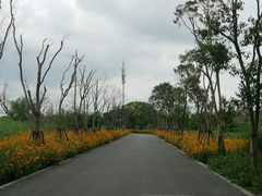 -广富林郊野公园