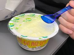 -德禄酸奶(莫家街店)