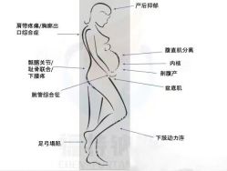-星乐宝·沁漫月子中心(宝龙一城店)