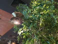 -同仁四季椰子鸡(无锡滨湖万象汇店)