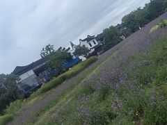 -乌镇东栅景区