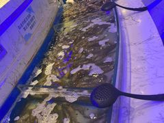 -澜悦港海鲜体验主题餐厅