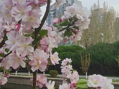 -元大都城垣遗址公园