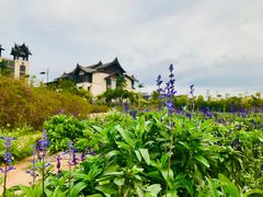 -清远熹乐谷温泉度假酒店