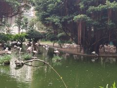 -九龙公园