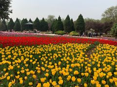 -石家庄市植物园
