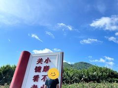 -亚龙湾国际玫瑰谷