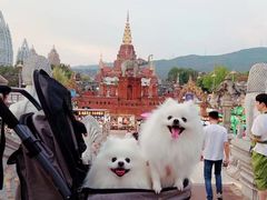 -瑞鹏宠物医院(大运分院)