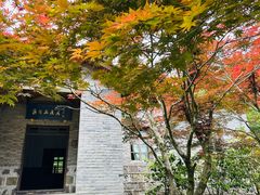 -溪口商量岗景区