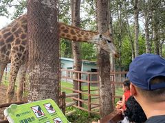 -大连森林动物园