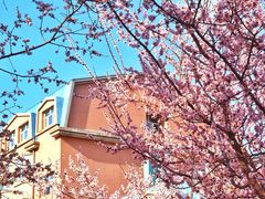 -吉林大学(南岭校区)