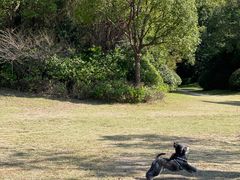 -上海崇明金茂凯悦酒店