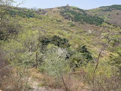 -封龙山风景区