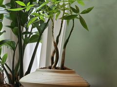 -街角 T·COFFEE 融合料理·BISTRO(车公庙店)