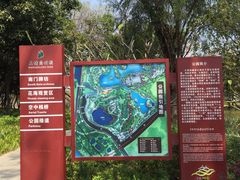 -王借岗森林公园